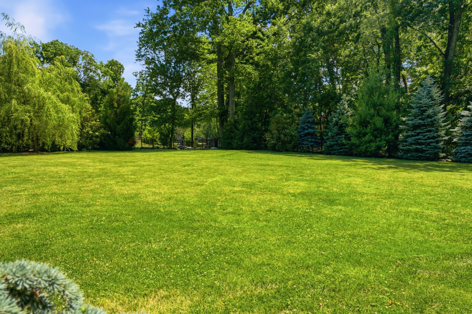 Rear of home — grounds and landscaping